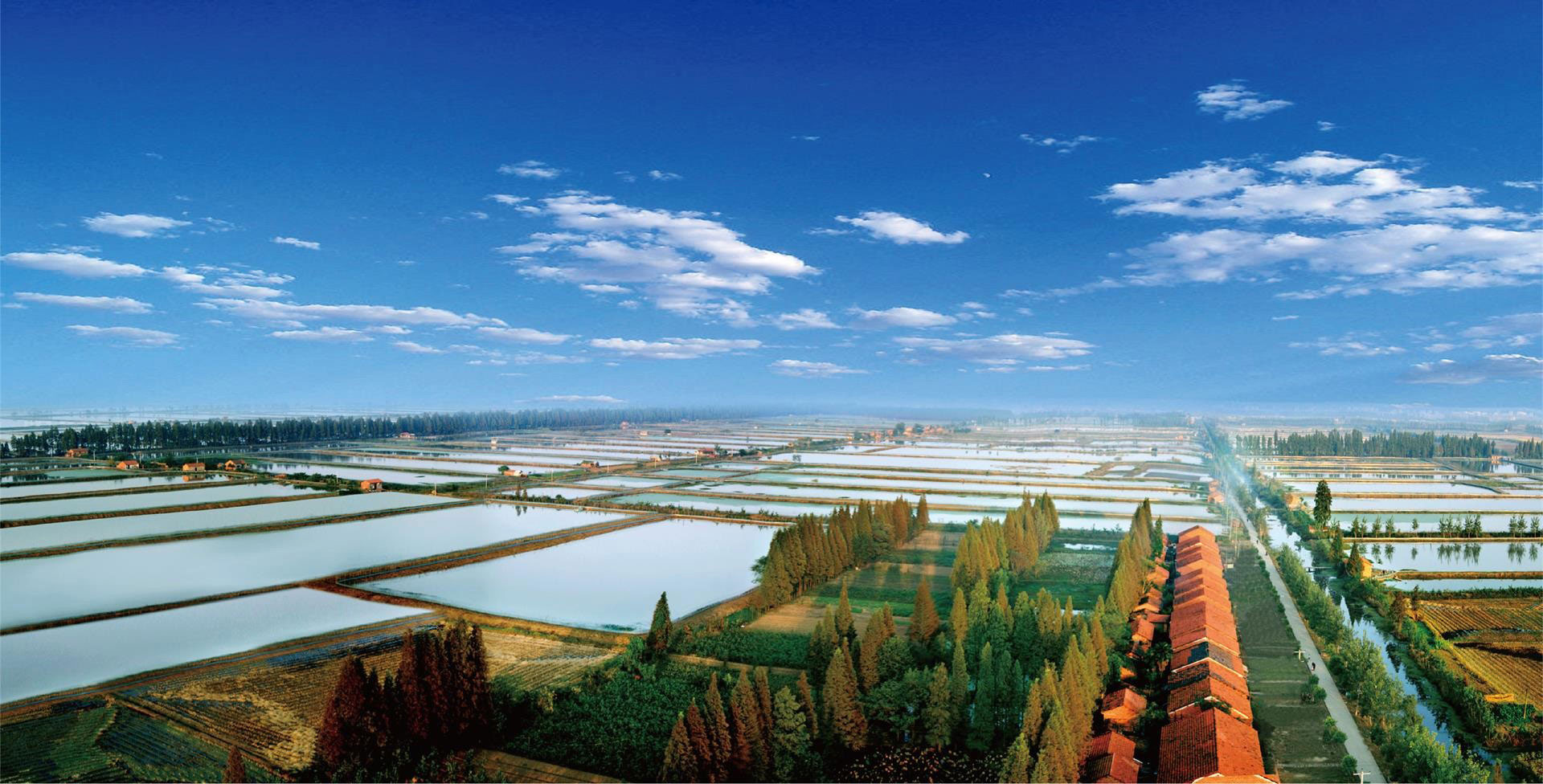 BOB综合app手机客户端